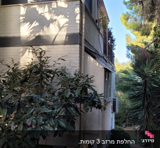 גג שטוח עם צמחייה מסביב